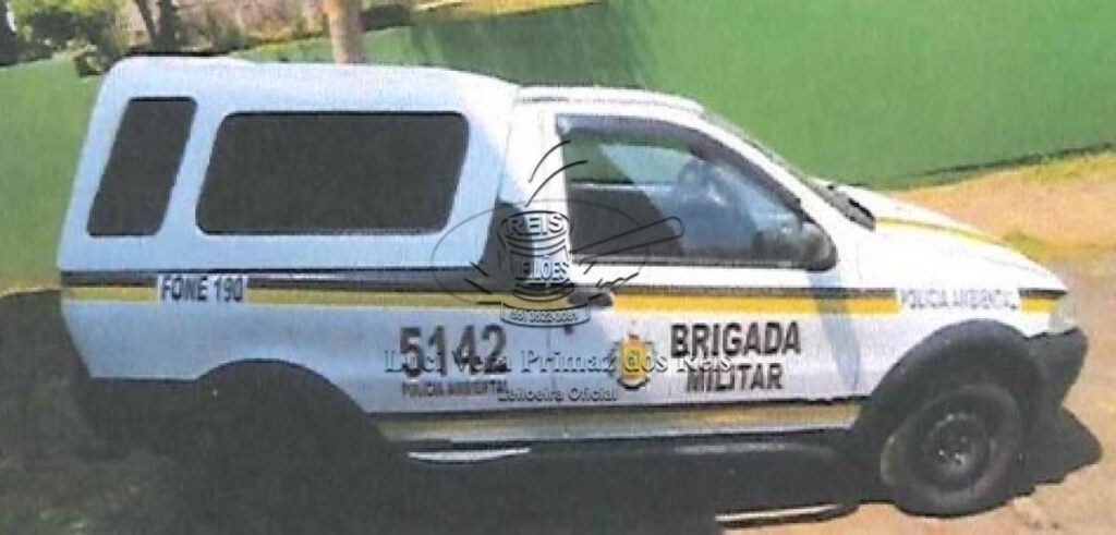 strada-fire-leilao-descomplicado-oportunidade-viatura-policia-brigada-caminhonete-investir