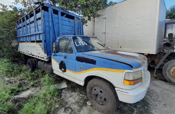 ford-f4000-leilão-descomplicado-oportunidade-investimento-onibus-van