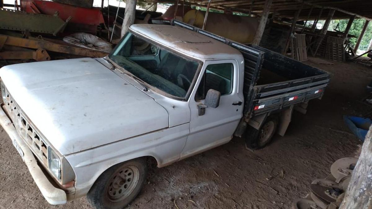 ford-f1000-leilão-descomplicado-investimento-carros-caminhonetes