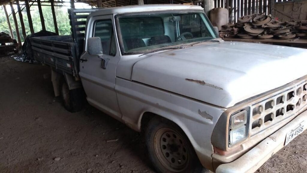 ford-f1000-leilão-descomplicado-investimento-carros-caminhonetes