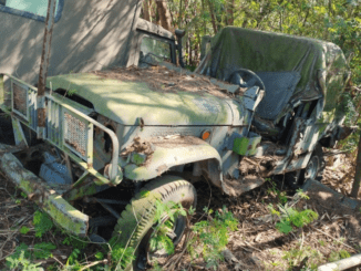 toyota-bandeirante-leilao-viaturas-marinha-forças-armadas