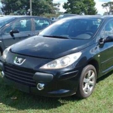 peugeot-307sd-20s-m-fl-2007-2008-importado-oportunidade-investimento-leilão-online