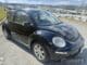 beetle-leilao-veiculos-oportunidade-investir-renda-extra