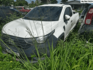 Blog do Carelli: Leilão de carros de corrida nacionais