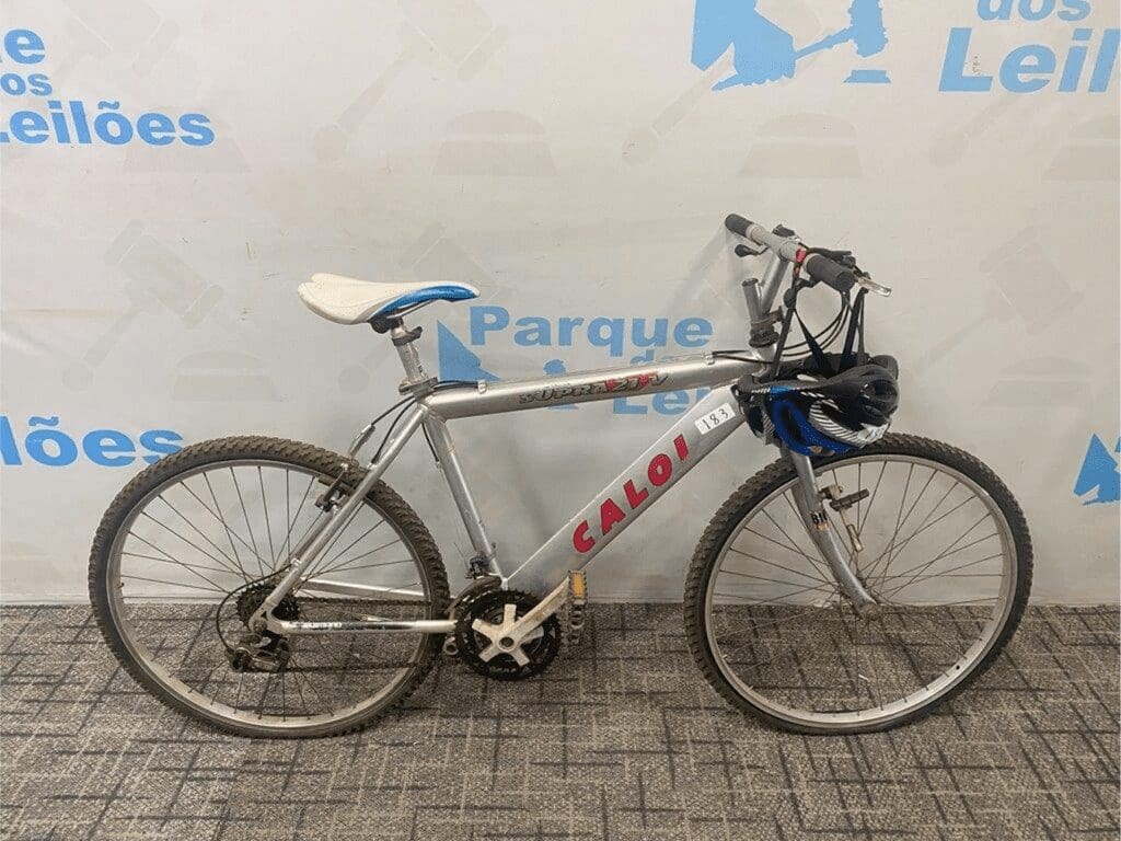 bicicleta-leilão-oportunidade-investimento-renda-extra