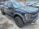 ford-f-150-raptor-leilao-veiculos-oportunidade-investir-renda-extra