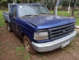 ford-f1000-leilao-veiculos-oportunidade-investir-renda-extra