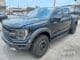 ford-f150-raptor-leilao-veiculos-oportunidade-investir-renda-extra