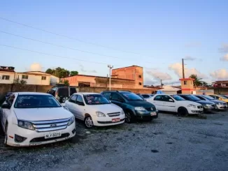 leilão do tribunal de justiça