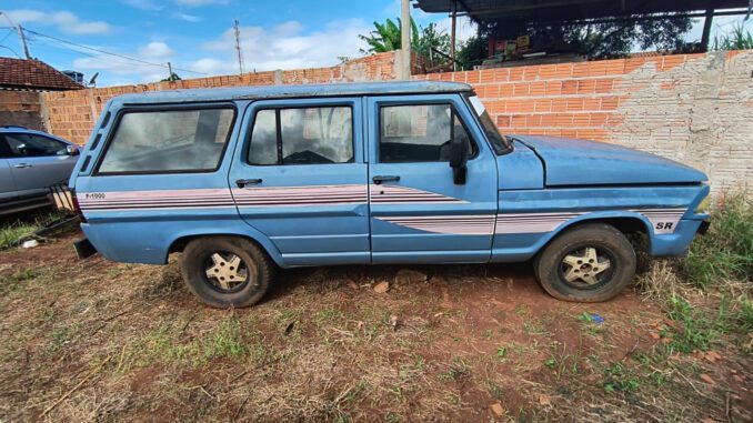 FORD MODELO F 1000