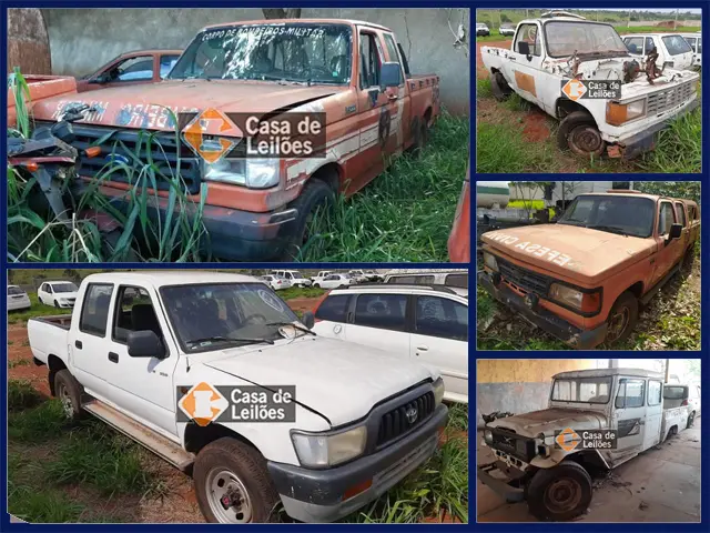 Ford F1000, Chevrolet D20, Toyota Bandeirante e Hilux, Por 500 Reais no Leilão de Frota do Governo Estadual