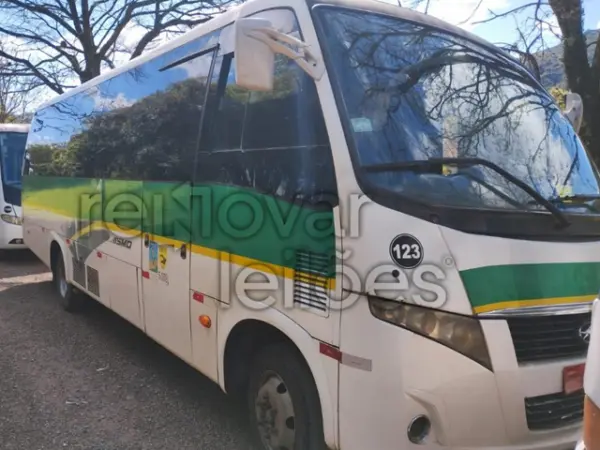 onibus-leilao-veiculos-oportunidade-investir-renda-extra
