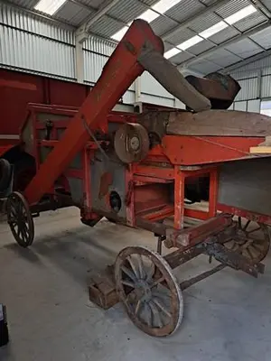 Trilhadeira Caetano Branco Completa leilão do agronegocio