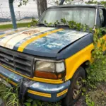 Leilão de Viaturas da PRF tem Ford F1000 4x4, Hilux, S10, L200, Frontier, Ducato