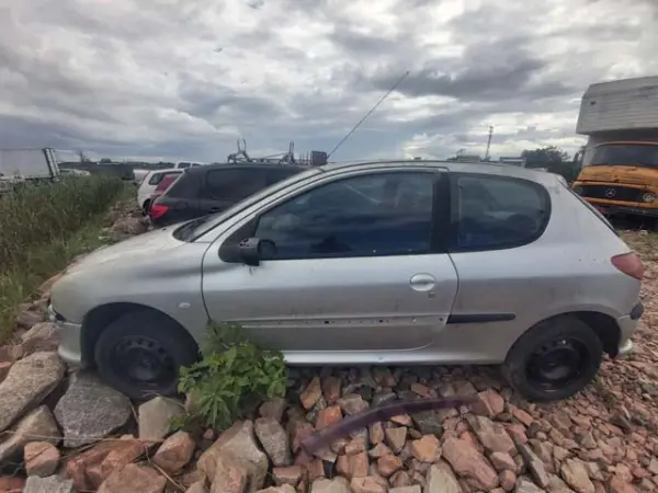 peugeot-206-leilao-veiculos-oportunidade-investir-renda-extra
