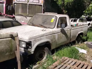 Chevrolet D20, S10 e Ranger a partir de 8 mil Reais no leilão de Prefeitura