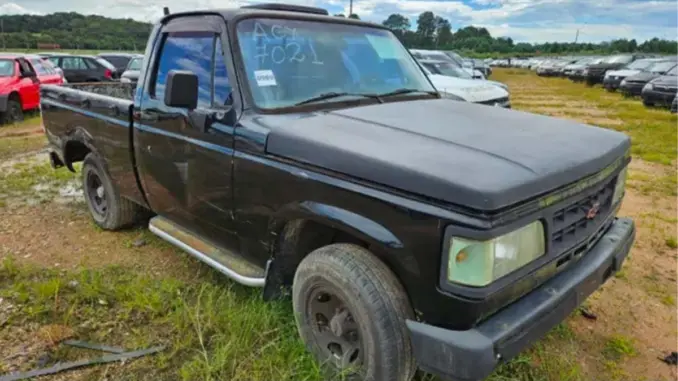 Leilão do Governo estadual tem GM D20, Toyota Bandeirante, Ranger e Caminhões