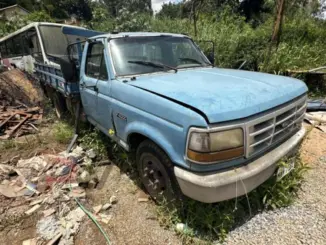 Leilão de Prefeitura tem Ford F1000, Civic, Carro popular e motos a partir de 1 mil Reais