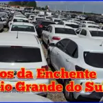 leilao de veiculos da enchento do rio grande do sul