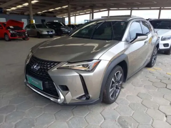 lexus-ux250-leilao-veiculos-oportunidade-investir-renda-extra
