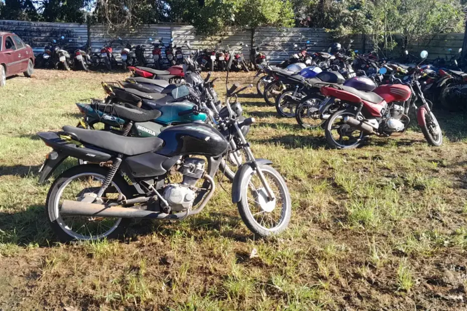 leilão detran sc