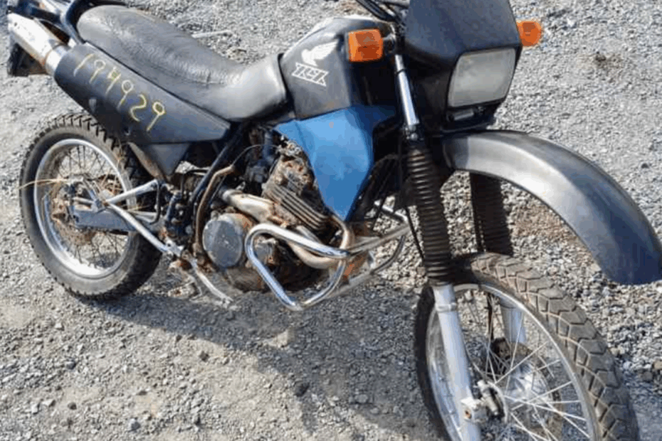 O Detran de Campinas realiza leilão com 163 motos a partir de R$ 350