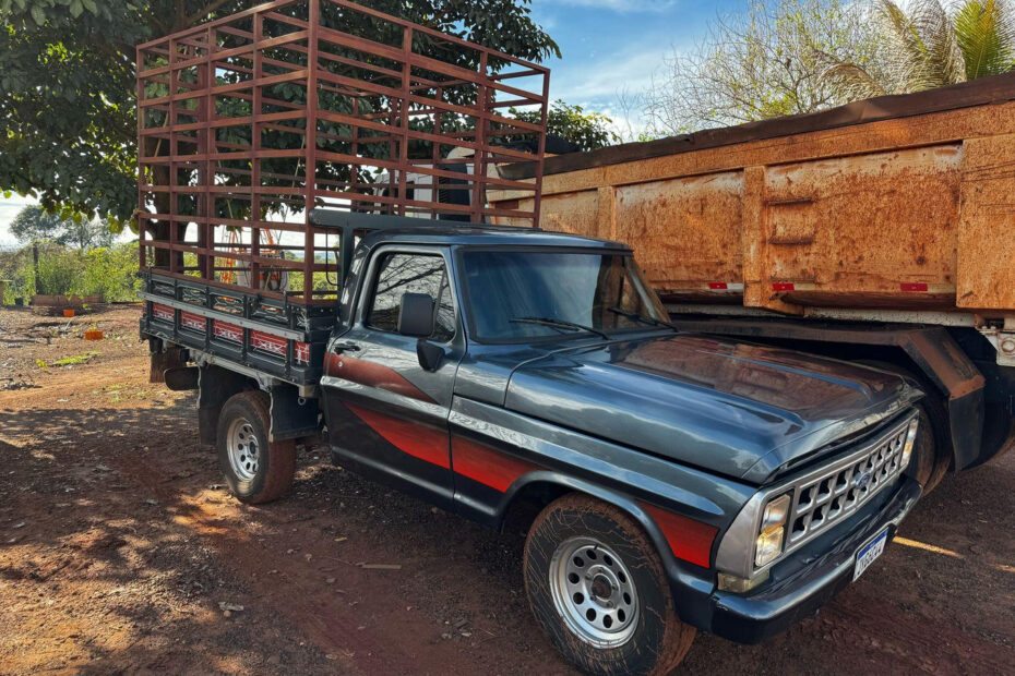 Caminhonete Ford F1000 caminhões tratores no leilão do Agronegócio