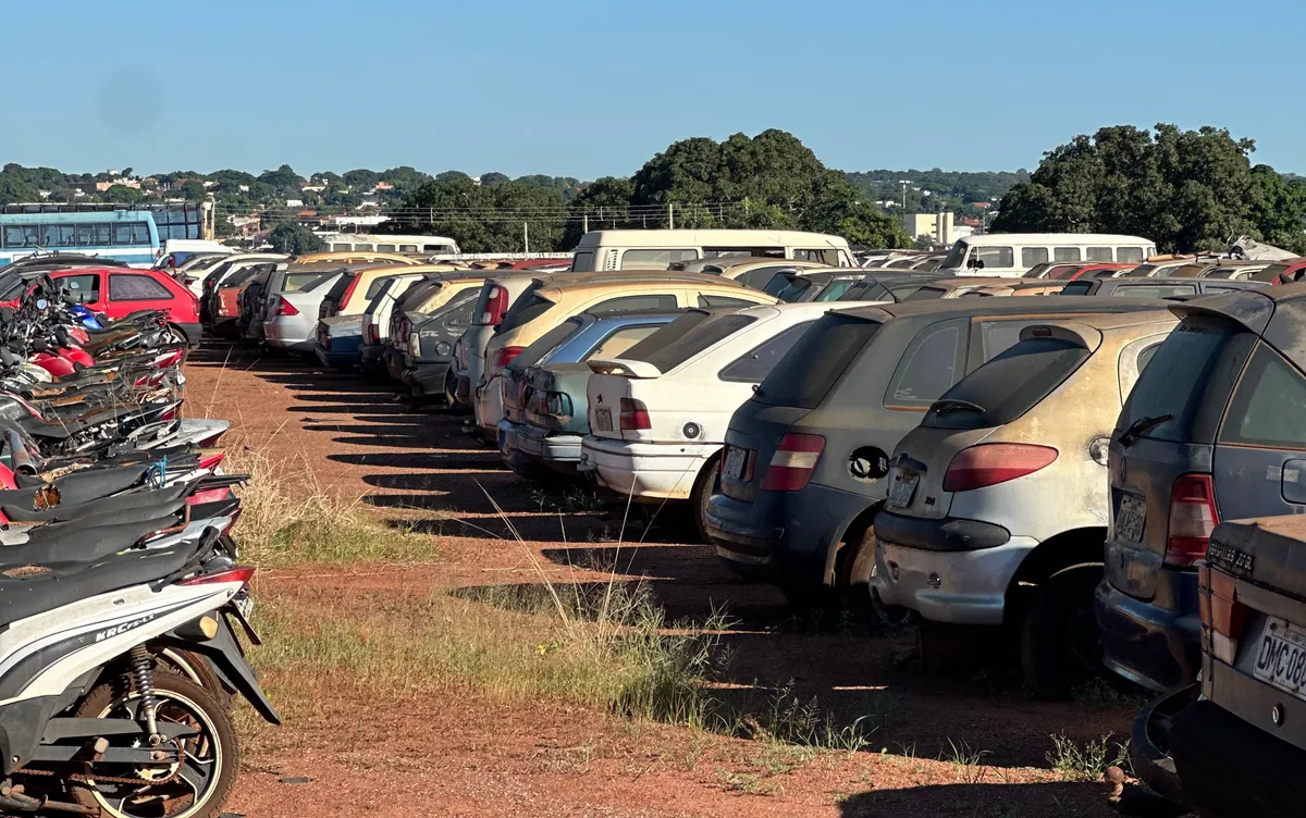 Detran-GO vai leiloar mais de 3 mil veículos em setembro; veja como participar