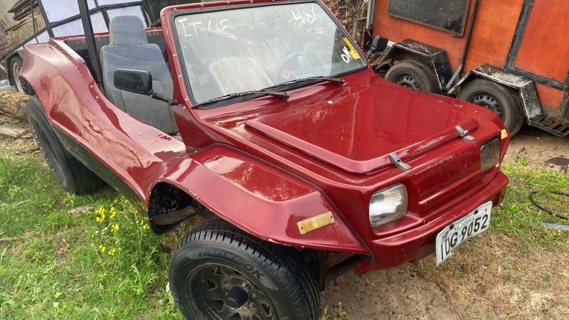 Leilão do Detran RS tem carros clássicos e buggy