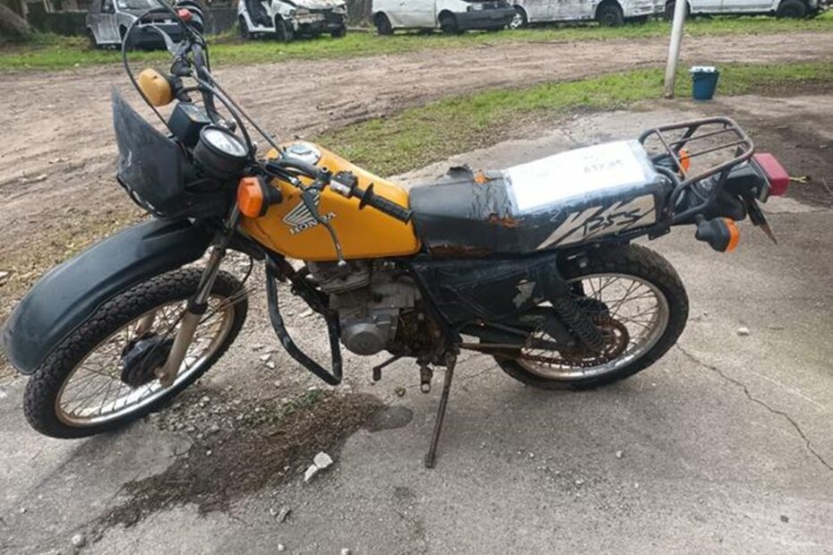 Último Leilão do Paraná: Carros a Partir de R$ 1,2 Mil e Motos a R$ 632