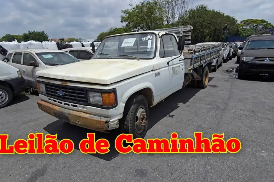 Leilão de caminhão governo de São paulo