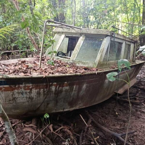 LANCHA Leilão do ICMBio