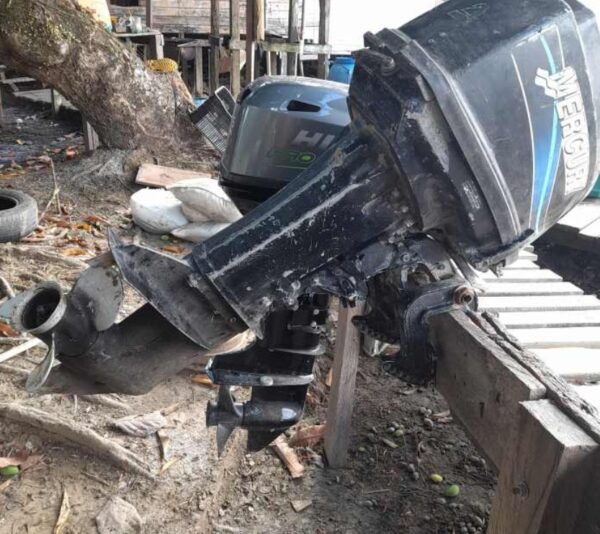 MOTOR MERCURY 25 HPLeilão do ICMBio