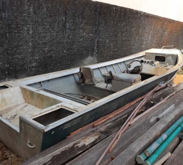 OADEIRA 9 METROS Leilão do ICMBio