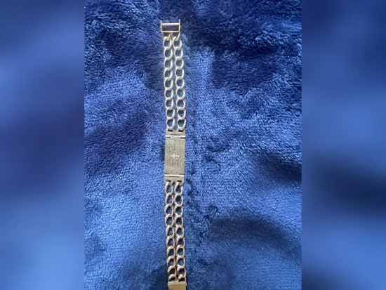 Pulseira Em Ouro 10K Leilão de Logística Reversa