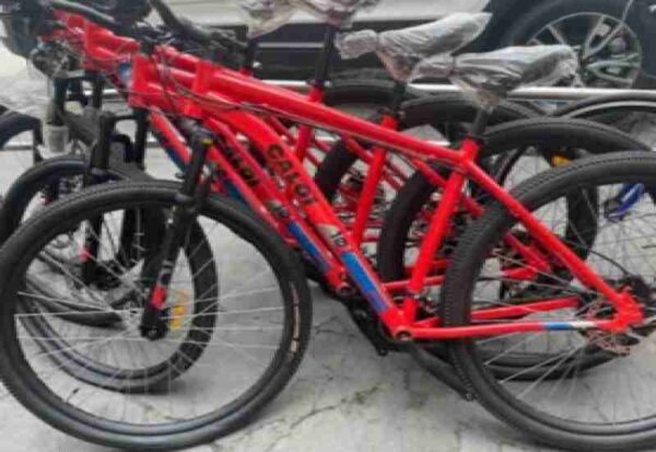 15 bicicletas aro 24 leilão de veículos TRT