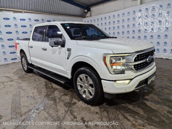 FORD F-150 PLATINUM 5.0 4X4 Leilão de Veículos de Luxo em São Paulo