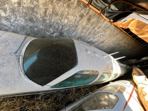 avião no leilão leilão de veiculos apreendidos policia federal