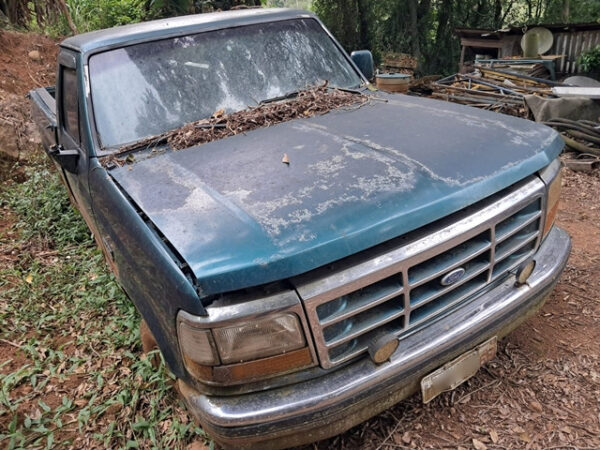 Camionete FORD F1000 HSD XLT leilão veiculos Justiça federal