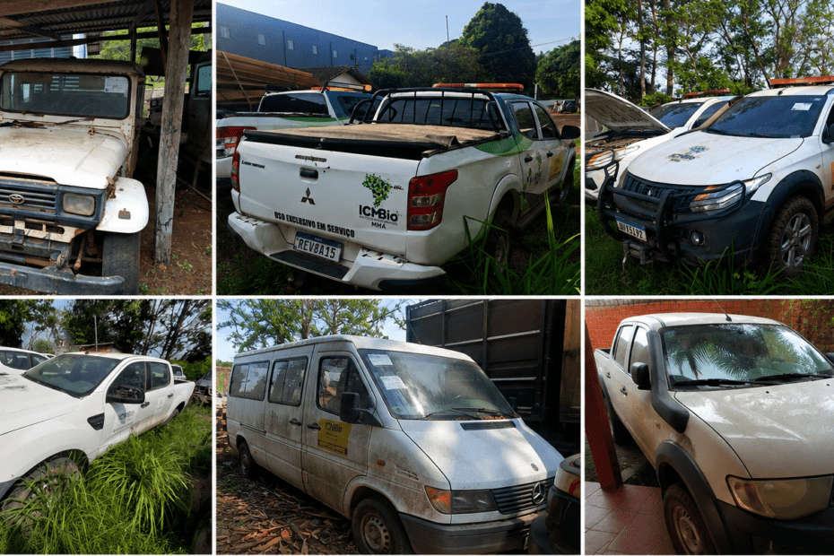 Leilão ICMBio tem 26 caminhonetes Bandeirante Trinton e Ranger a partir de 2 mil reais