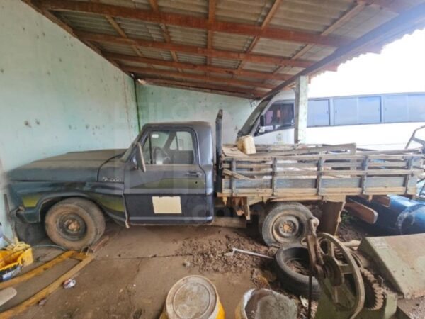Caminhão Ford F1000 SS leilão veiculos