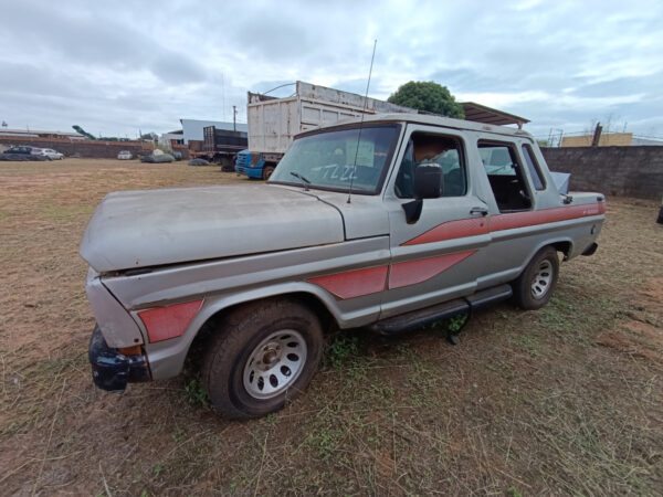 Caminhonete FORD F1000 SS leilão veiculos PF