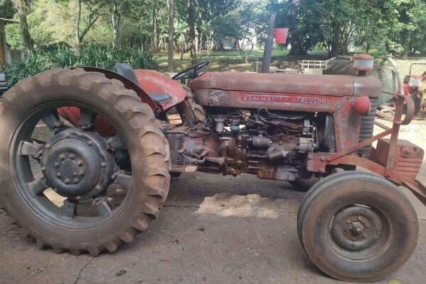 Trator Massey Ferguson leilão epagri